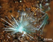 jgeosci.069.jpg, 12 kB